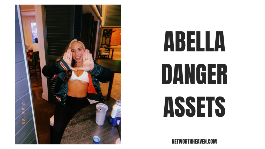 Abella Danger Assets