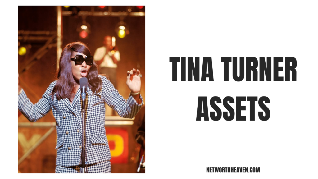 Tina Turner Assets
