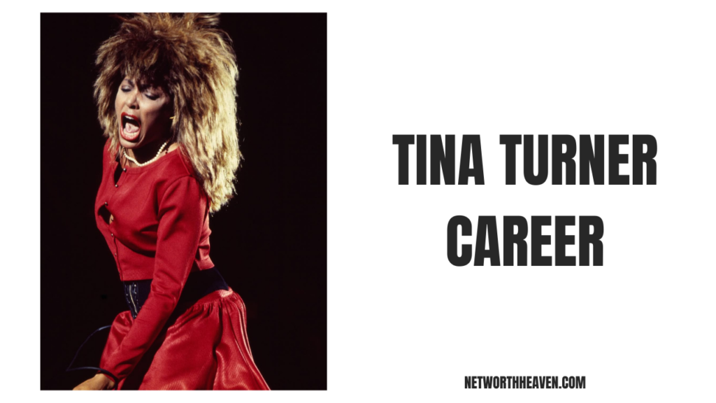 Tina Turner Career