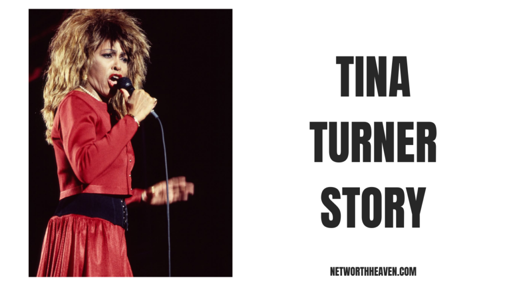 Tina Turner Story