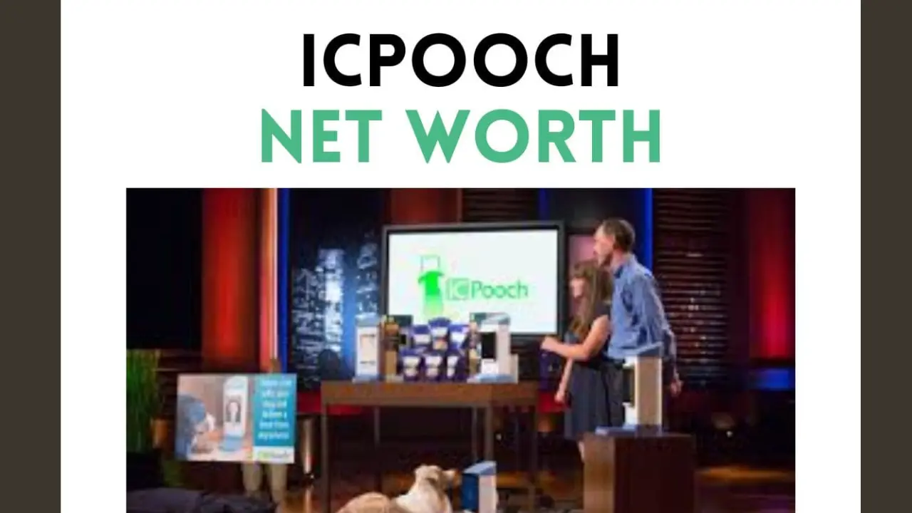 icpooch net worth